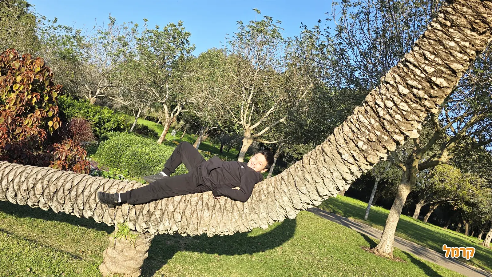 רעיונות מושלמים לבילוי בטבע קרוב לבית